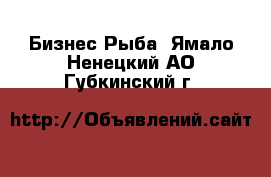 Бизнес Рыба. Ямало-Ненецкий АО,Губкинский г.